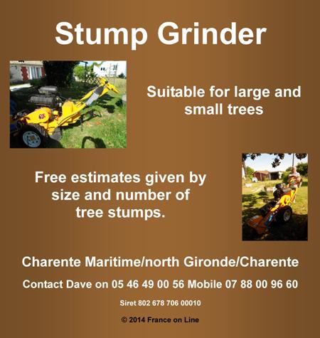 Stump grinding,tree stumps,remove tree roots,remove tree stump,charente,charente maritime,gironde