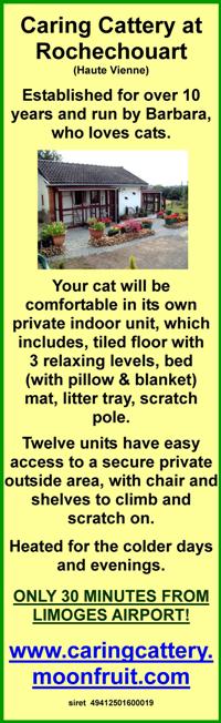 Cattery,Rochechouart,Haute Vienne,Limousin,Dordogne,Charente,English,Limoges airport 30 minutes,heated