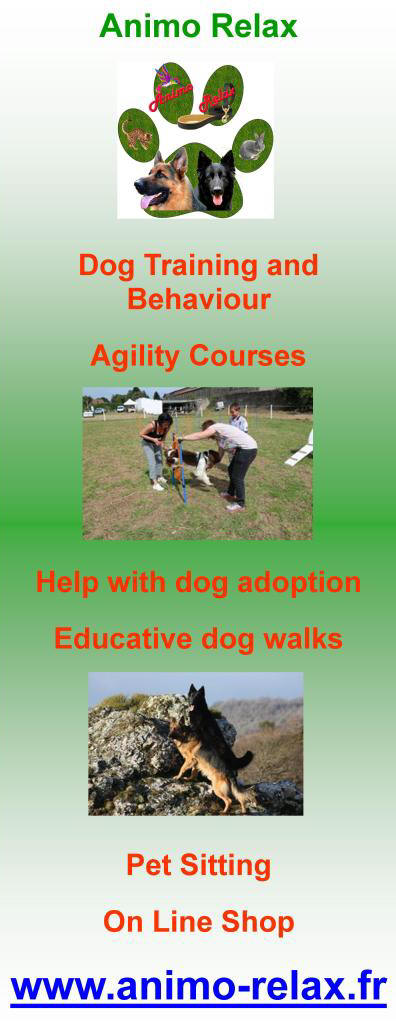 Animo Relax,agility,dog training,dog behaviour,dog adoption,educative dog walks,socialize your dog,pet sitting,pet sitter,online shop,pet accessories,pet food,pet health,Cussac,Haute Vienne,Limousin