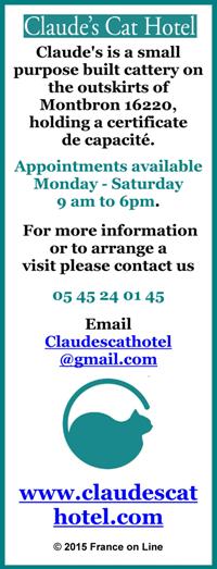 Claudes Cat Hotel,Montbron,Charente,cattery,english cattery,cat care Charente
