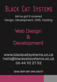 Black Cat Systems,web design,web development,cms,hosting,marketing