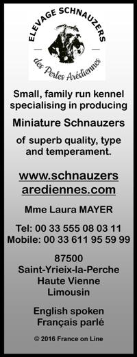 Schnauzers,miniature,kennel,breeders,puppies,St Yrieix le Perche,Haute Vienne,Limousin,elevage