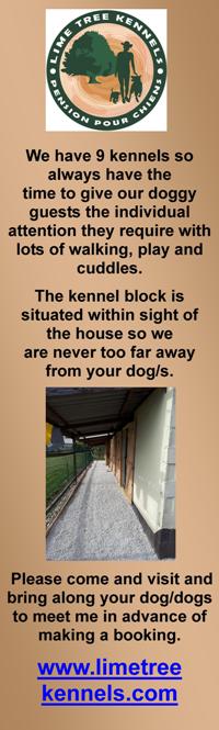 Lime Tree Kennels,Charente,English,dog kennels,dog boarding