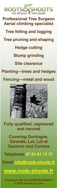 Roots and Shoots,tree needs,professional tree surgeons,aerial climbing specialists,tree felling,logging,tree pruning,shaping,hedge cutting,stump grinding,site clearance,planting,trees and hedges,fencing,metal and wood,Dordogne,Gironde,Lot,Lot et Garonne,Correze,Limousin