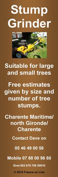 Stump Grinder,Charente,Charente Maritime,Gironde,large trees,small trees