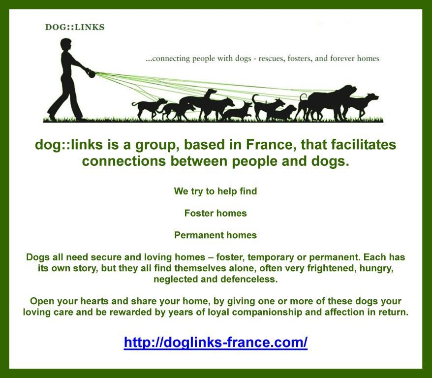 Dog Links, based in France to facilitate connection between people and dogs, foster homes and permanent homes.