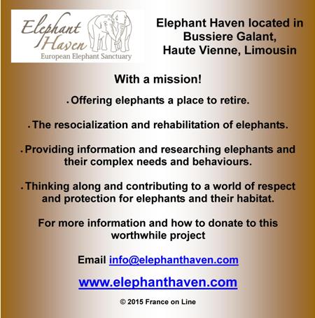 Elephant Haven,Haute Vienne,Limousin,France,retired elephants,charity for elephants