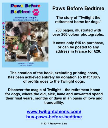 Paws before bedtime,Twilight retirement home for dogs